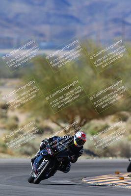 media/Apr-14-2024-SoCal Trackdays (Sun) [[70f97d3d4f]]/1-Turn 5 Tree of Life (920am)/